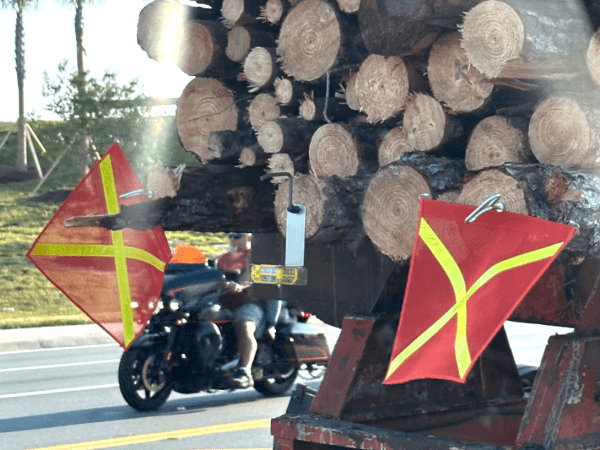 Safety Flag Lag Screw - Image 2